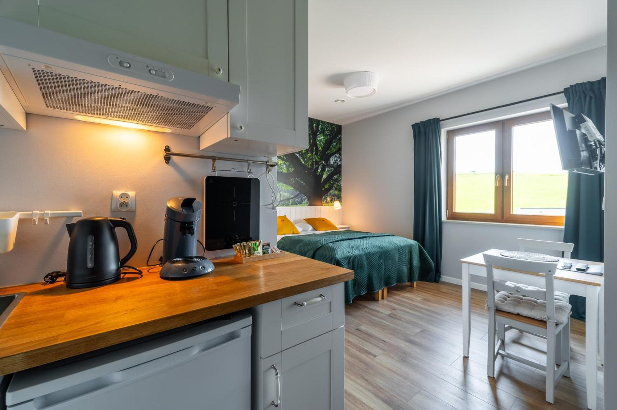 Black Lion Apartment *